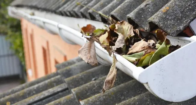 Desentupimento de Calhas em Residência no Bairro Cidade baixa